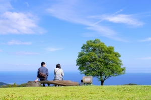 dear-bride-tokyo-date-park.jpg